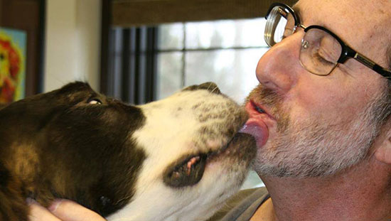 Senior dog kissing Dr. Cohen