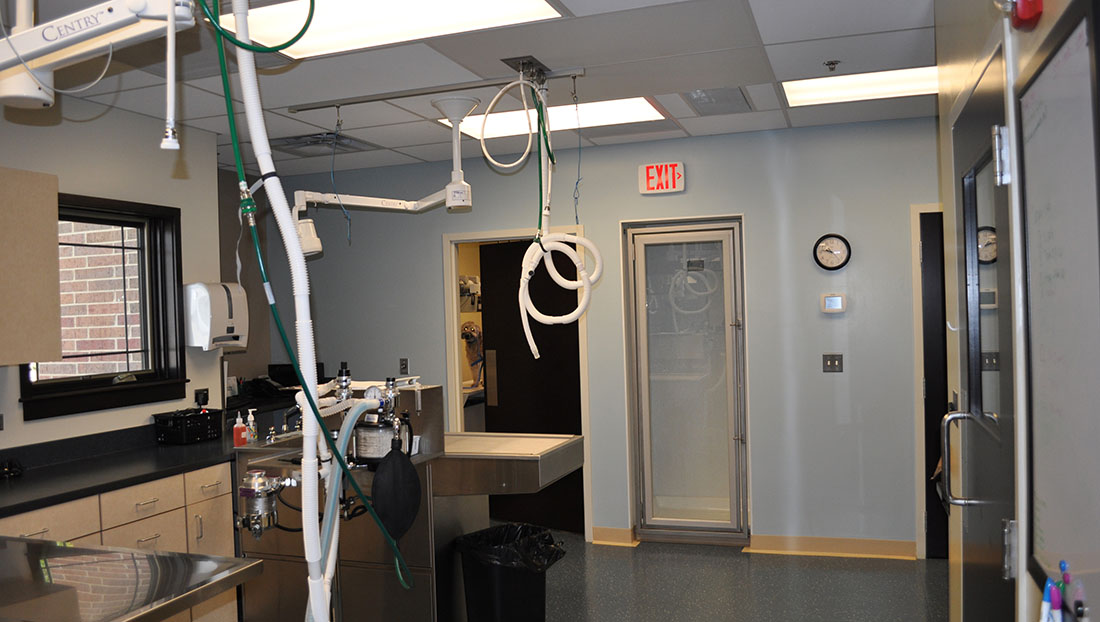 Treatment Area and Dentistry