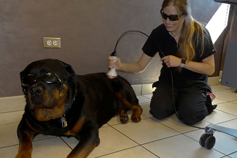 Laser therapy is used to reduce pain and inflammation after surgical and dental procedures, soft tissue conditions and arthritis.  An amazing tool for pain management and healing.