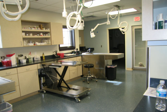 Treatment area: This is the hub of the practice.