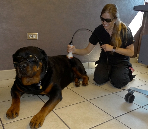 laser therapy